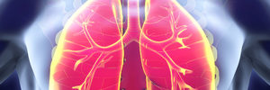 featured allergy article